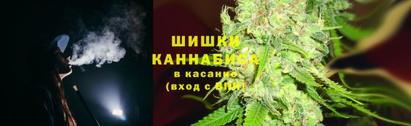 твердый Новозыбков