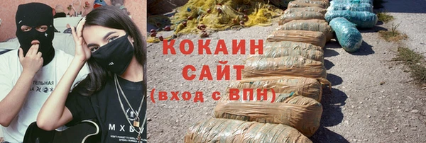 гашик Новокубанск