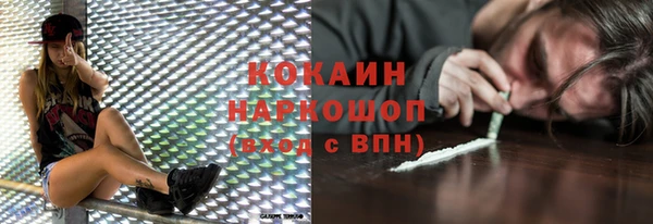 ешки Алексин